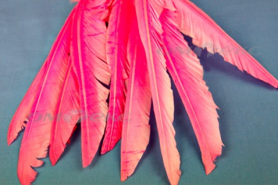 Декоративный Пучок из перьев, перо 25см/розовый - купить в Назрани. Цена: 14.40 руб.