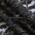 Кружевное полотно XD LACE 1-4, 80 гр/м2, шир.150см, цвет чёрный - купить в Назрани. Цена 245.94 руб.