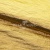 Текстильный материал "Диско"#1805 с покрытием РЕТ, 40гр/м2, 100% полиэстер, цв.5-золото - купить в Назрани. Цена 416.57 руб.