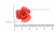 Украшение "Розы малые №1" 20мм - купить в Назрани. Цена: 32.49 руб.