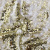 Трикотажное полотно, Сетка с пайетками, шир.130 см, #315, цв.-белый/золото - купить в Назрани. Цена 693.39 руб.