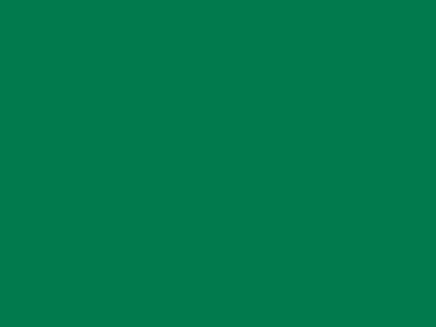 85 см № 258 яр. зеленый спираль (G) сорт-2 - купить в Назрани. Цена: 16.97 руб.