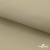 Ткань подкладочная TWILL 230T 14-1108, беж светлый 100% полиэстер,66 г/м2, шир.150 cм - купить в Назрани. Цена 90.59 руб.