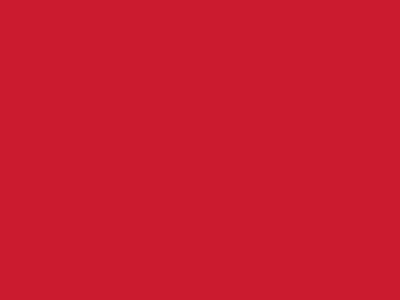 Сетка подкладочная красный, 60г/м2 (10 м/кг) - купить в Назрани. Цена 885.73 руб.