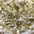 Трикотажное полотно, Сетка с пайетками, шир.130 см, #315, цв.-белый/золото - купить в Назрани. Цена 693.39 руб.
