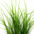 Трава искусственная -3, шт (осока 50 см/8 см  5 листов)				 - купить в Назрани. Цена: 124.17 руб.